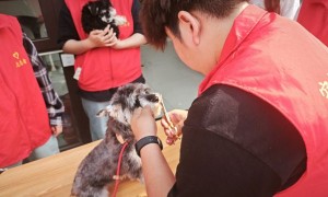 江苏牧院“宠爱有家”社会服务团队走进演化社区开展社会服务