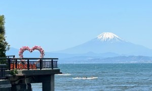 和陽日本语学院 — 梦想起航的地方