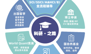 中创深度智能(中创蓝):科技赋能科研,铸就学术辅导标杆